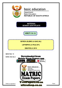 Sepedi HL P1 Nov 2016.pdf